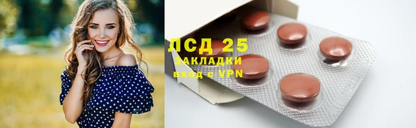гидра Аркадак