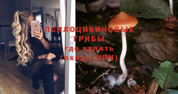 гидра Аркадак