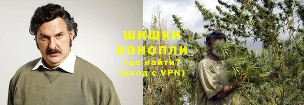 гидра Аркадак