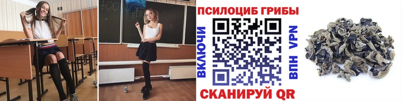 где найти наркотики  Тулун  Псилоцибиновые грибы GOLDEN TEACHER 
