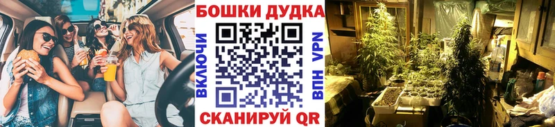 KRAKEN как войти  Тулун  Бошки марихуана Bruce Banner  продажа наркотиков 